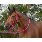 ROPE HALTER WITH REIN 