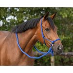 ROPE HALTER WITH REIN COBALT BLUE SZ:PONY