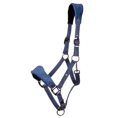 QHP HALTER SUMMER GLOW NAVY PONEY