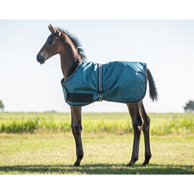 QHP FOAL RUG TURNOUT COLLECTION WAVE 100GR SZ31