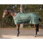 QHP STABLE SHEET 200 GR BOTANISTA SZ.84