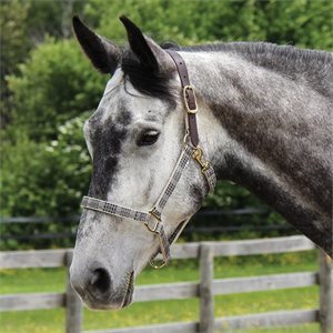 BAKER HALTER LEATHER CROWN WEBBING