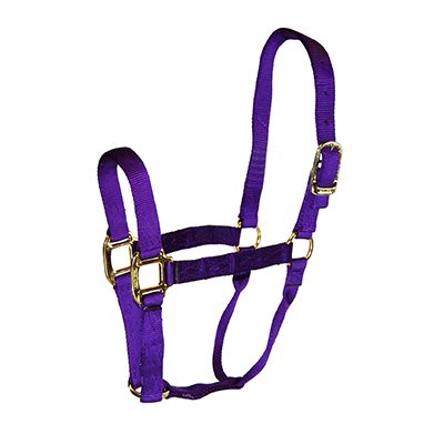 HALTER HAMILTON AJUSTABLE / SNAP SMALL(500-800 LBS) BLUE