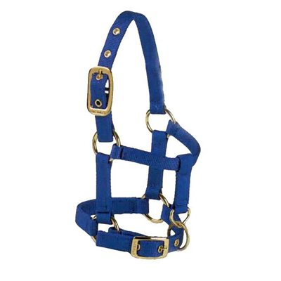 MINI HALTER AVERAGE BLUE