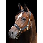 BACK ON TRACK BLACK HALTER SIZE : COB