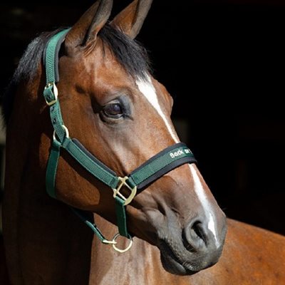 BACK ON TRACK GREEN HALTER SIZE : FULL