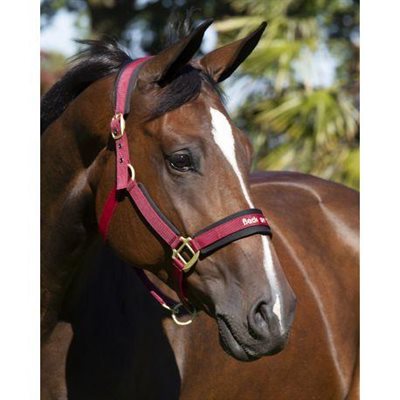 BACK ON TRACK WINE RED HALTER SIZE : FULL