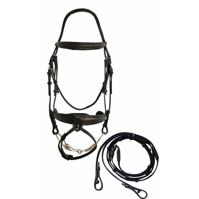 HDR PRO ST-GEORGE DRESSAGE BRIDLE WITH FLASH BLACK FULL