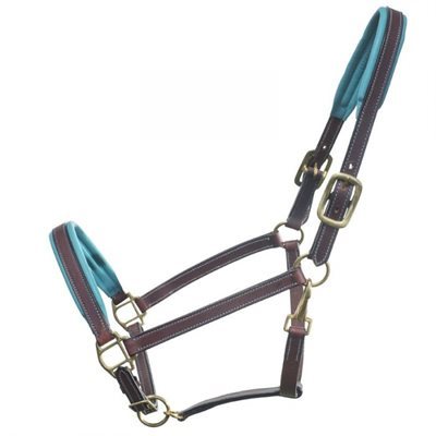 SAGE FAMILY LEATHER HAVANA HALTER WITH TURQUOISE PADDING PONY