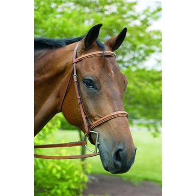 BRIDE HENRI DE RIVEL FANCY RAISED PADDED OAKBARK COB