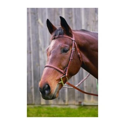 HENRI DE RIVEL BRIDLE ADVANCE PLAIN OAKBARK COB