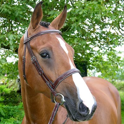 DY'ON CAVESSON HUNTER US NOSEBAND BRIDLE BROWN FULL HUNTER COLL