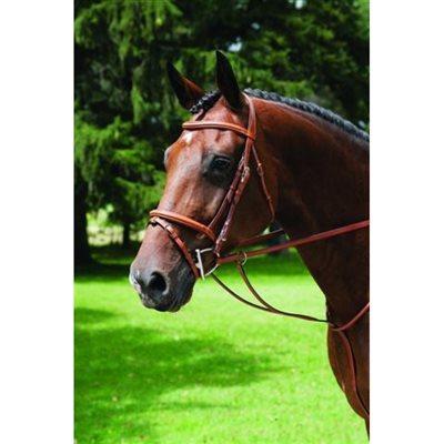 VESPUCCI BRIDLE SINGLE CROWN BROWN COB