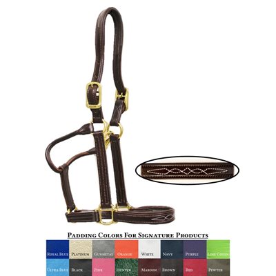 SIGNATURE PADDED HALTER WALSH COB