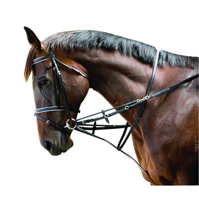 KINCADE MARTINGALE WEB MARKET MARTINGALE NOIR PONY