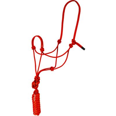 HALTER - CROPE AND LEAD ORANGE