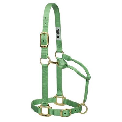 WEAVER HALTER ADJUSTABLE PISTACHIO GREEN LARGE