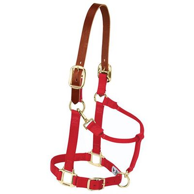 HALTER MEDIUM BREAKAWAY RED LEATHER CROWN