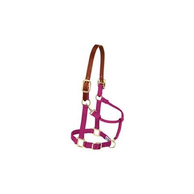 HALTER MEDIUM BREAKAWAY RASBERRY LEATHER CROWN