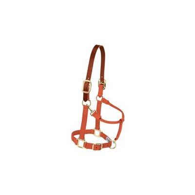 HALTER MEDIUM BREAKAWAY ORANGE LEATHER CROWN