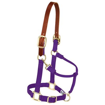 HALTER LARGE BREAKAWAY PURPLE LEATHER CROWN