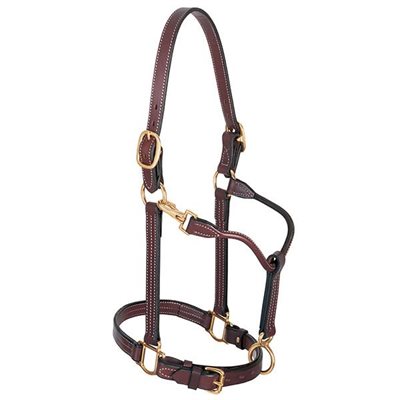 TRACK HALTERS HORSE MAHOGANY