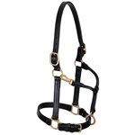 TRACK HALTERS HORSE BLACK