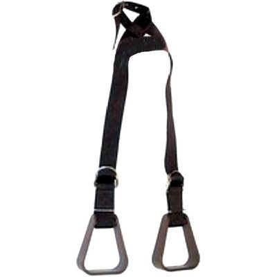 WESTRN STIRRUPS WITH BLACK NYLON STRAP