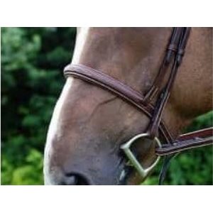 MUSEROLLE DYON BRUNE STYLE HUNTER NOSEBAND AND BROWBAND