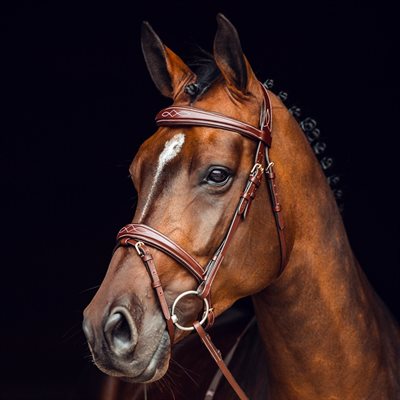 HORZE SION BRIDLE FANCY STITCH FLASH WITH REINS BROWN XFULL