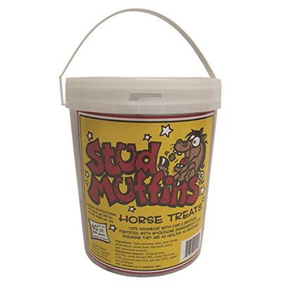 STUD MUFFINS POT DE BONBONS POUR CHEVAUX 60 OZ 