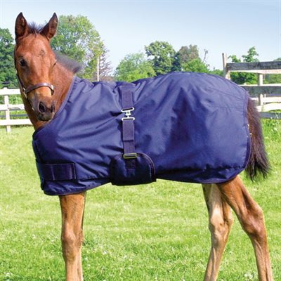 FOAL / MINI NAVY BLANKET 220GR 30-36''