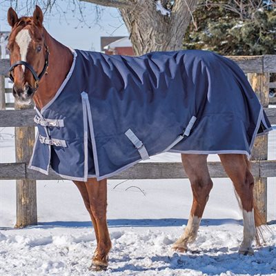 WINTER TURNOUT CANADIAN HORSEWEAR MAXIM NAVY 300GM 72