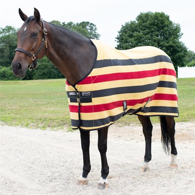 RAMBO DELUXE FLEECE HORSEWARE WITNEY GOLD 72