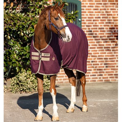 HORSEWARE AMIGO STABLE SHEET SZ.78