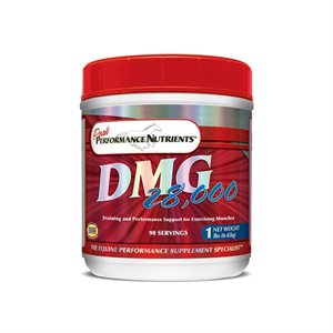 DMG PEAK PERFORMANCE 450G