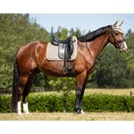 TAPIS DRESSAGE QHP NOIR VELOUR / BRILLANT FULL