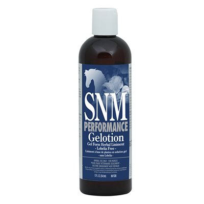 LINIMENT GELOTION SORE NO MORE PERFORMANCE 12 OZ