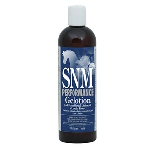 LINIMENT GELOTION SORE NO MORE PERFORMANCE 