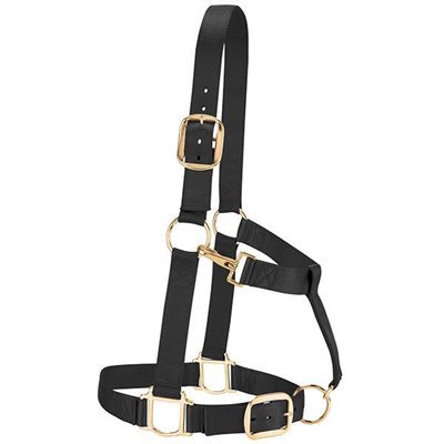 NYLON DRAFT HORSE HALTERS 1 1 / 2'' AVERAGE BLACK