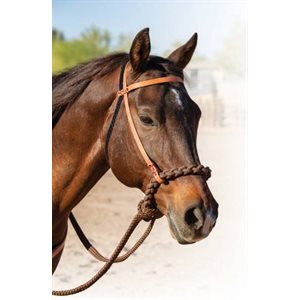 BRIDE LOPING HACKAMORE PROFESSIONAL'S CHOICE BRUN