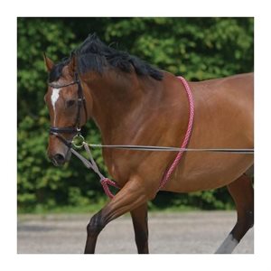COTTON LUNGING AID FULL