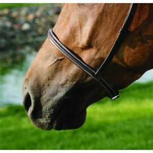 HENRI DE RIVEL NOSEBAND BROWN FULL