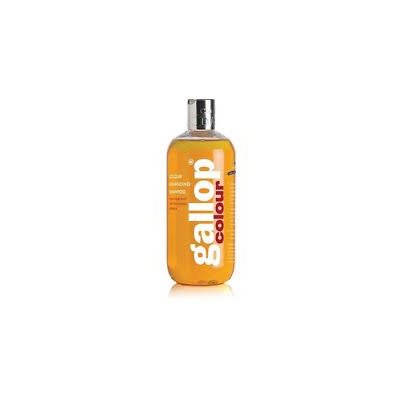 SHAMPOOING CHEVAUX ALZAN ET PALOMINO 500ML