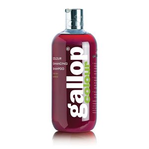 SHAMPOO GALLOP COLOR FOR BAY 500ML