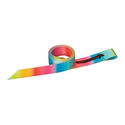 SANGLON EN NYLON WEAVER LATIGO 1 3 / 4X60" ARC-EN-CIEL