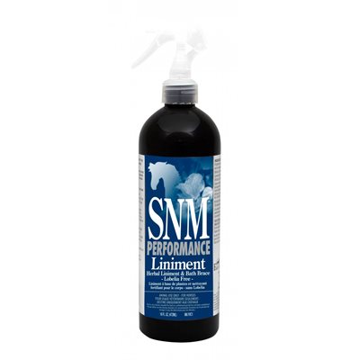 LINIMENT SORE NO MORE PERFORMANCE 16 OZ