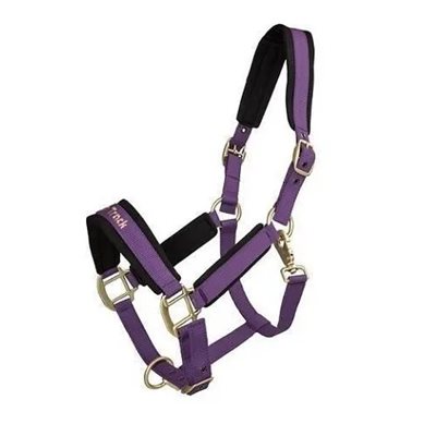 BACK ON TRACK WERANO PURPLE HALTER SIZE : COB