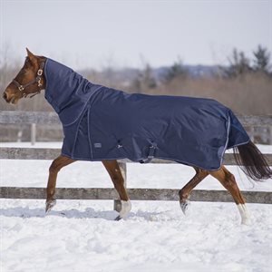 CANADIAN HORSEWEAR DIABLO WITH NECK TURNOUT NAVY 300GM 