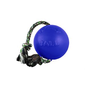 BALLON JOLLY BALL AVEC CORDE POUR CHIEN 4.5''